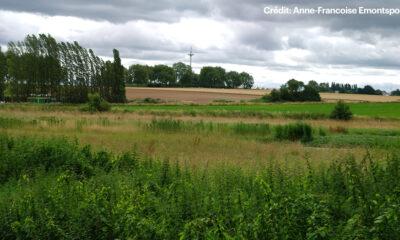 Réserve_Naturelle_Sept_Fontaines