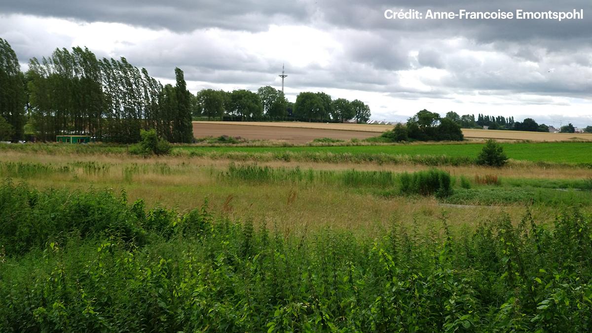 Réserve_Naturelle_Sept_Fontaines