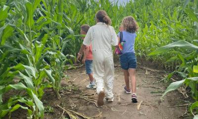 Labyrinthe_Hannut_2025