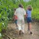 Labyrinthe_Hannut_2025