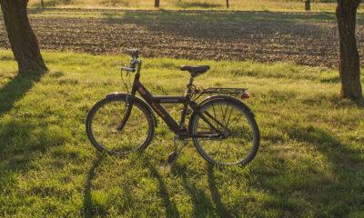 Piknik_Roule_Huy