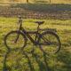 Piknik_Roule_Huy